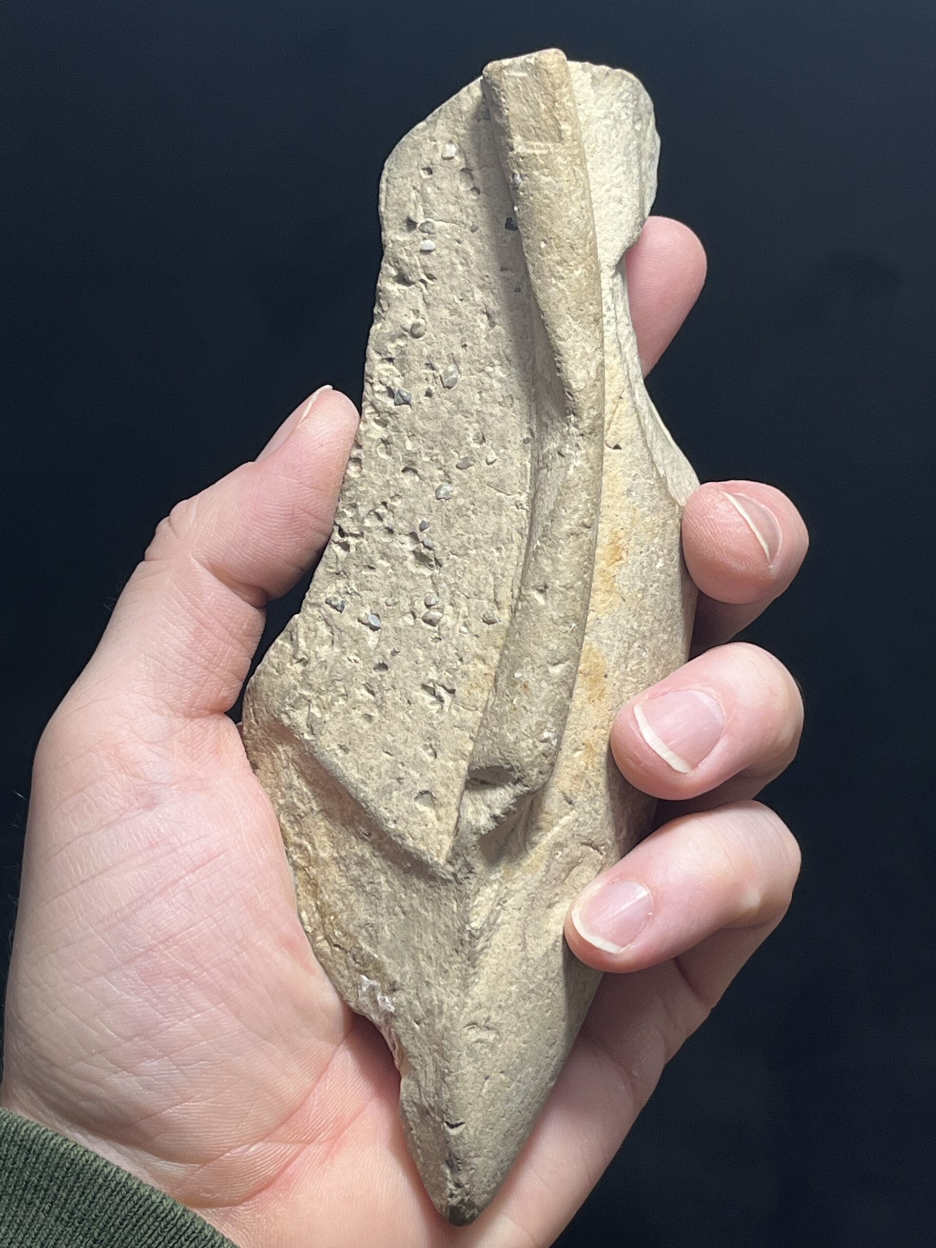 Fragment of Roman mortarium
