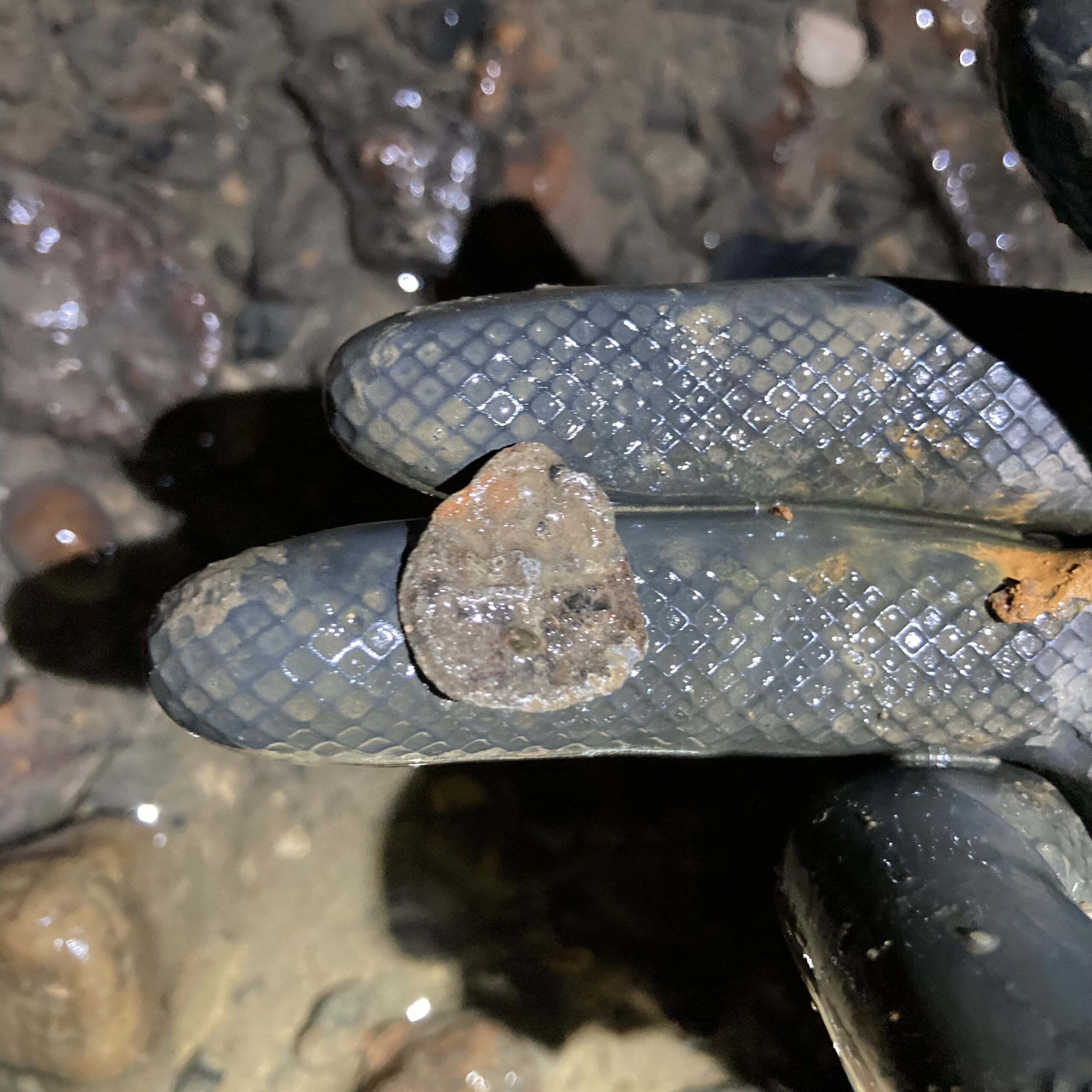 Lead token with cross and pellets design