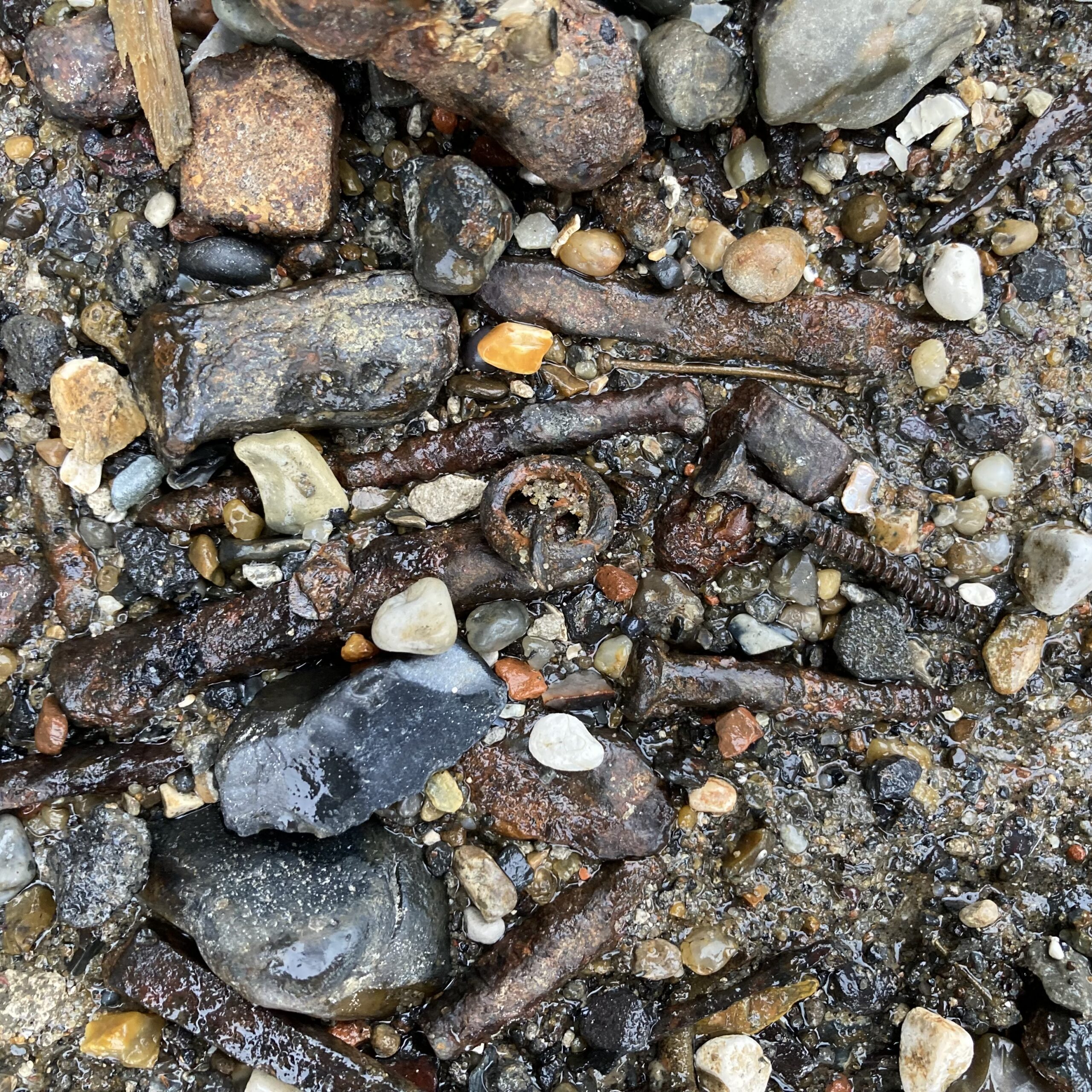 Medieval annular shoe buckle