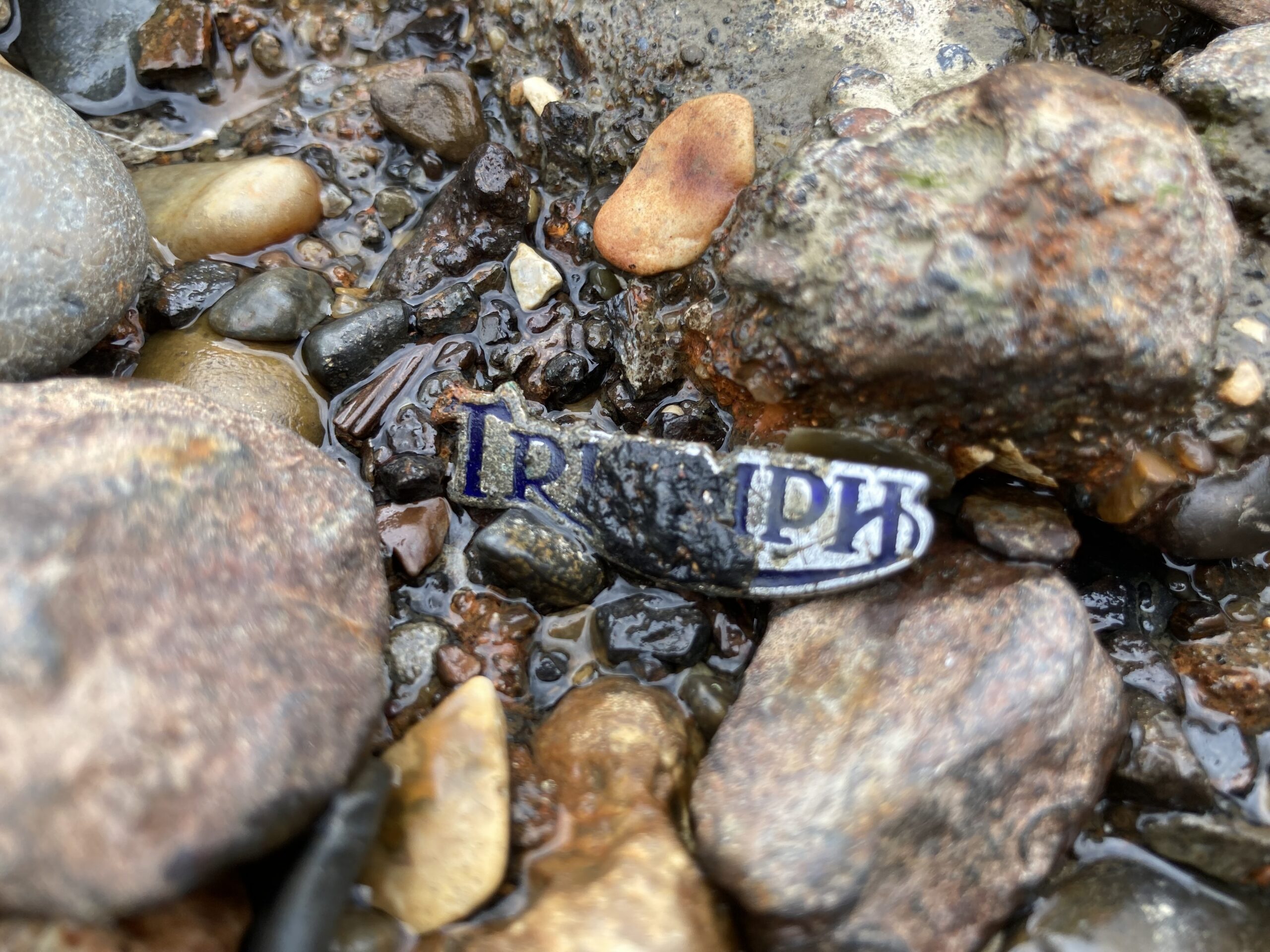Triumph motorcycles badge
