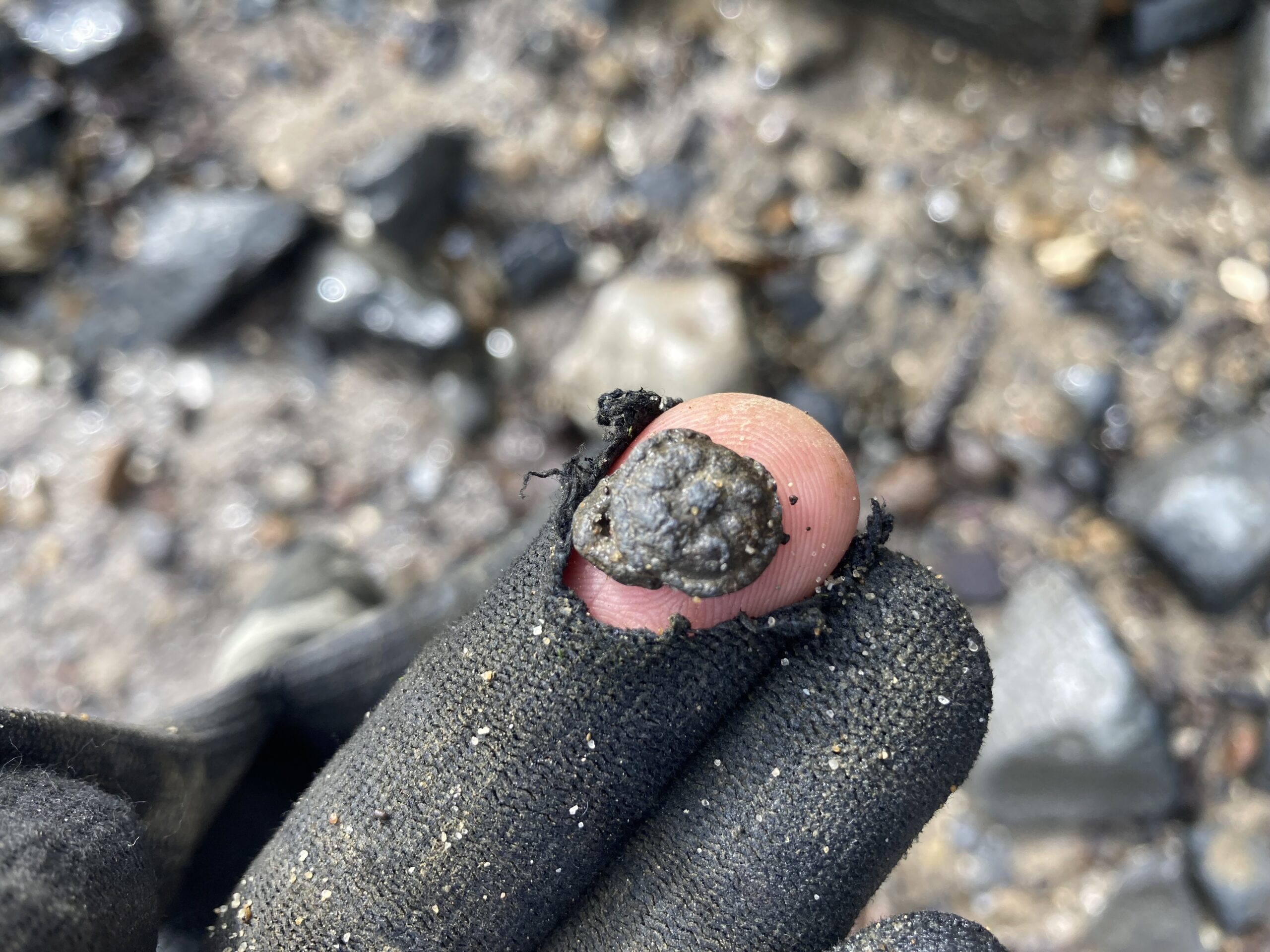 Lead-alloy button with floral design