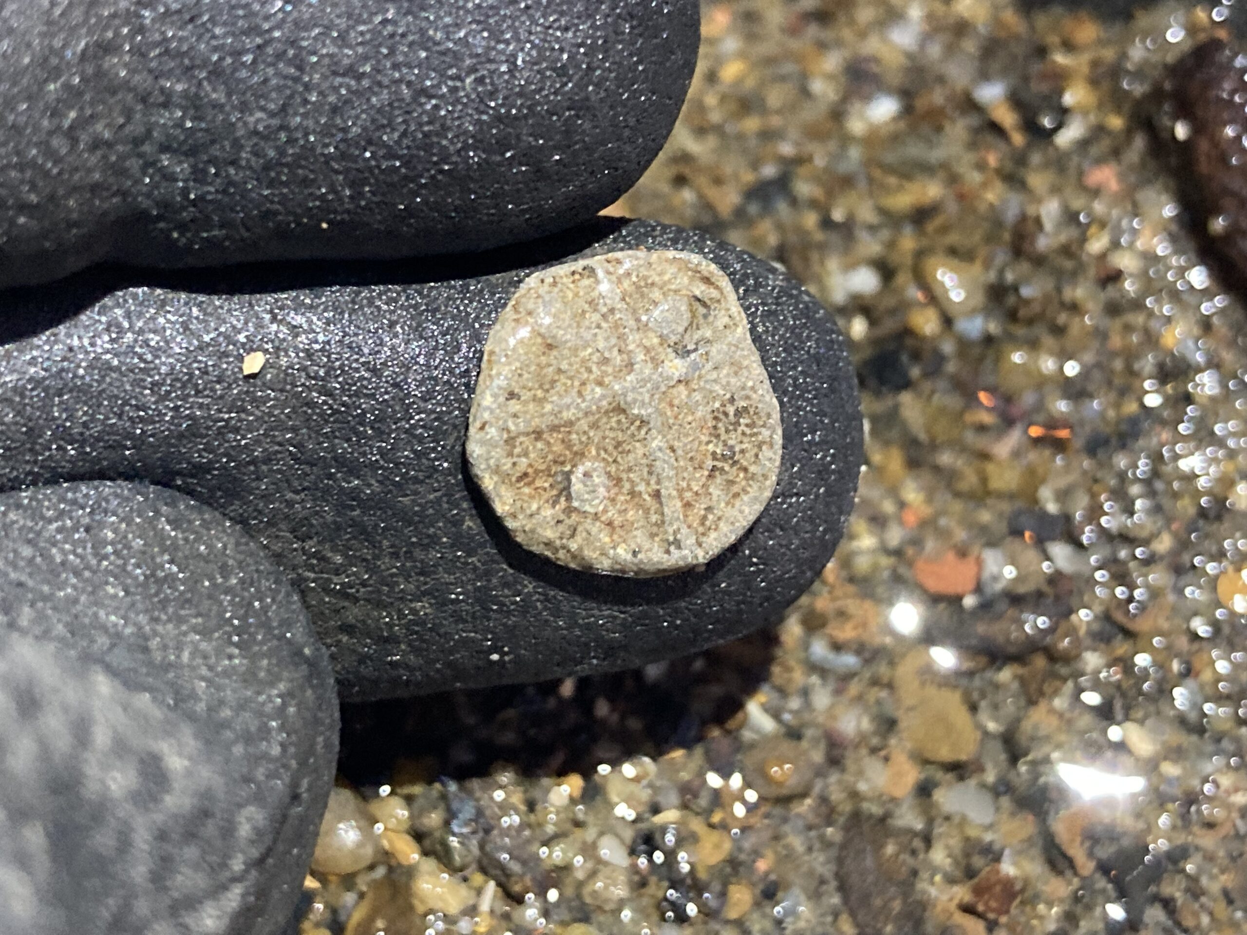 Lead token with cross and pellets design