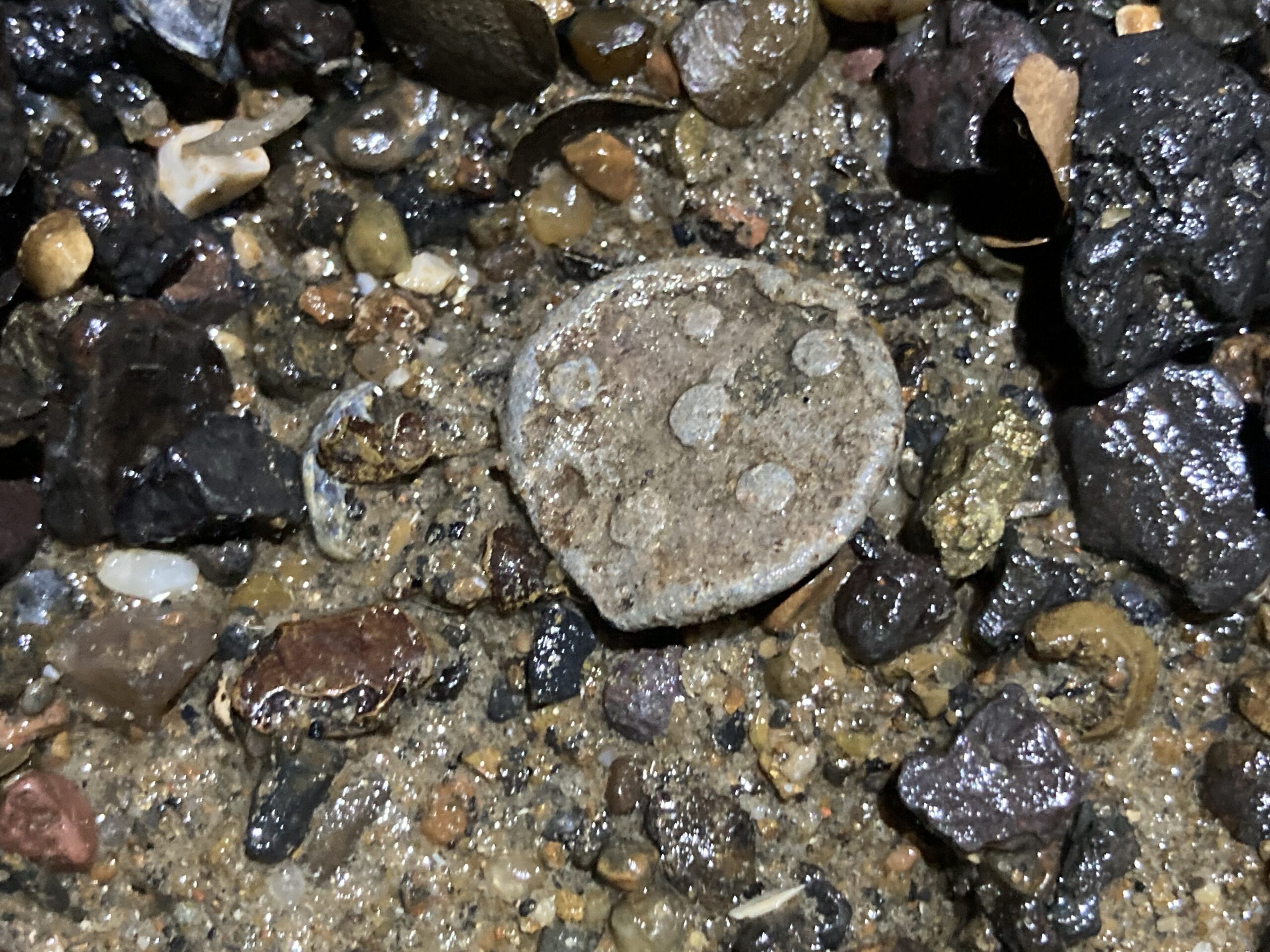 Lead token with pellet design